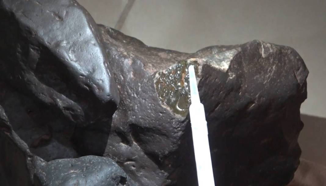 Mantar toplarken bir anda Afet Yönetim Merkezi'ni arayıp, 'Hemen gelin' dedi! Öyle bir manzarayla karşılaştı ki... 8